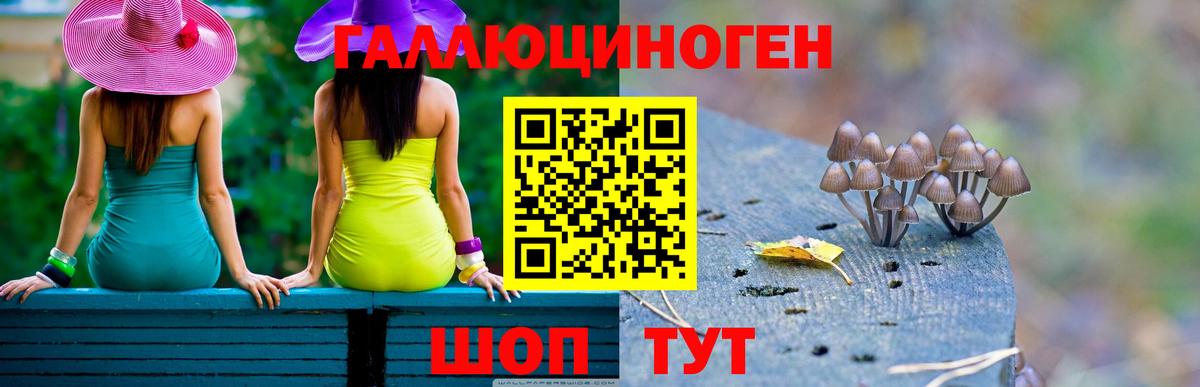 Киселёвск  Галлюциногенные грибы Psilocybe  Вход с VPN  Галлюциногенные грибы мухоморы 